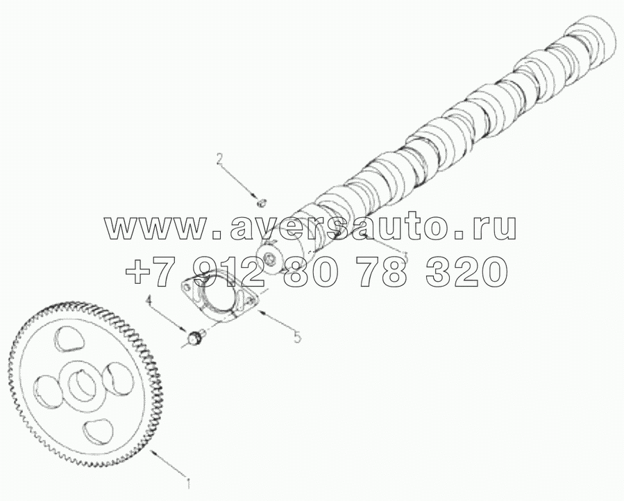  1S42591000201 Engine-camshaft assembly