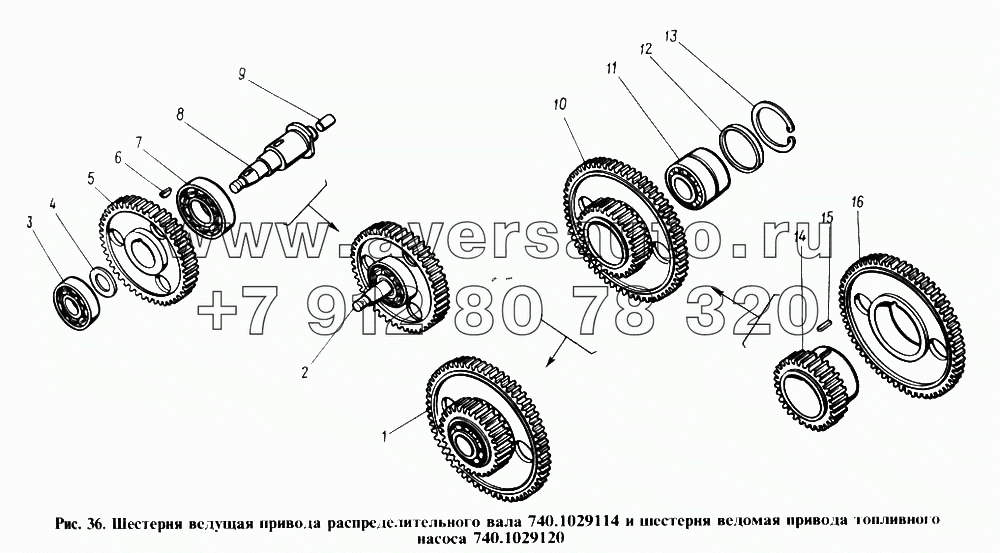Шестерня ведущая привода распределительного вала и шестерня ведомая привода топливного насоса
