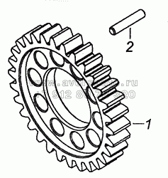 7406.1005031 Шестерня коленчатого вала