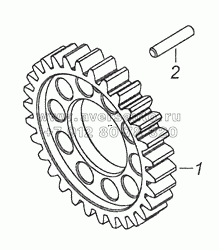 7406.1005031 Шестерня коленчатого вала