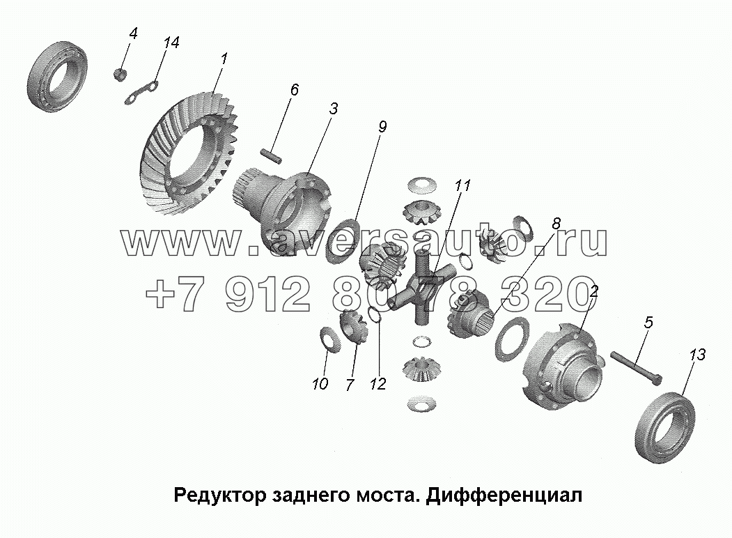 Редуктор заднего моста. Дифференциал