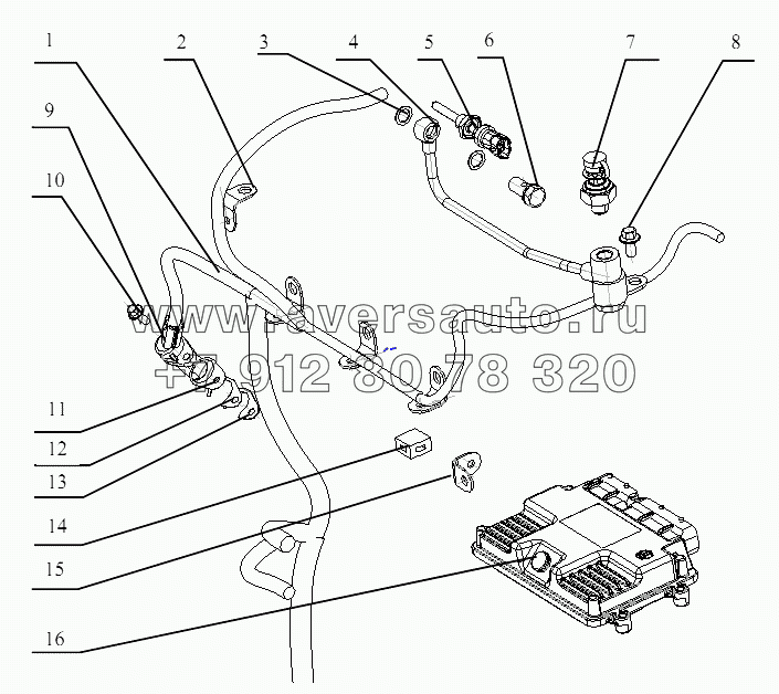 R3000-3823000 (T), R8000-3823000 (Na) Controlling System Assembly