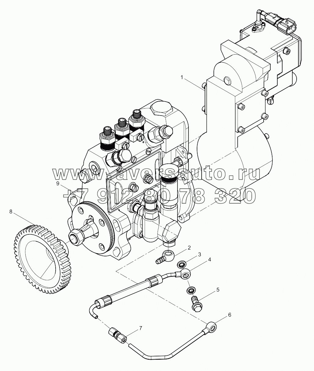  Fuel Injection Pump Assembly