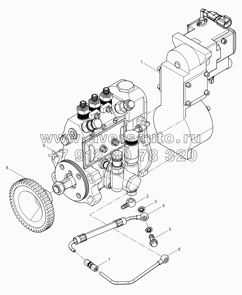 Fuel Injection Pump Assembly