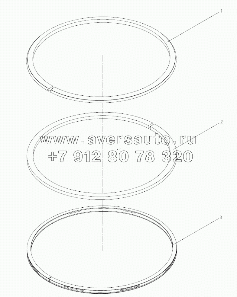  612600030051 Piston ring assembly