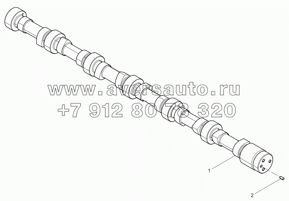  Camshaft Assembly