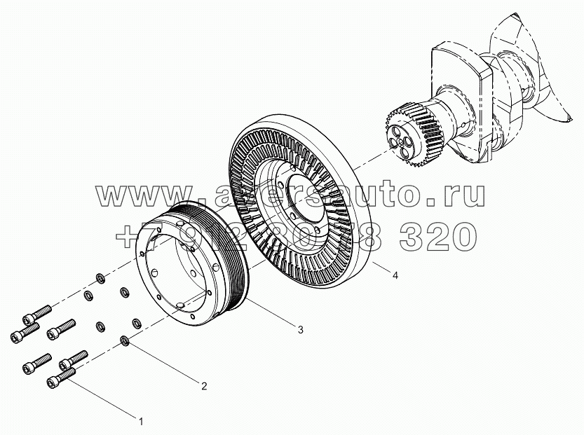 Pulley assembly with shock absorber