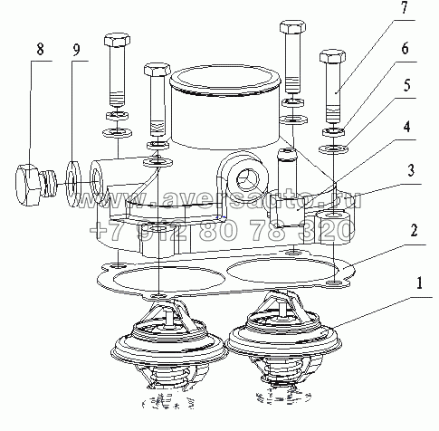 L3002-1306000 Термостат в сборе