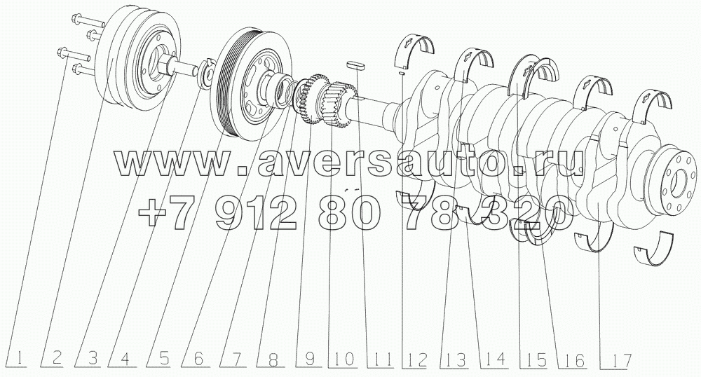 G0829-1005000 Crankshaft Vibration Damper Assembly